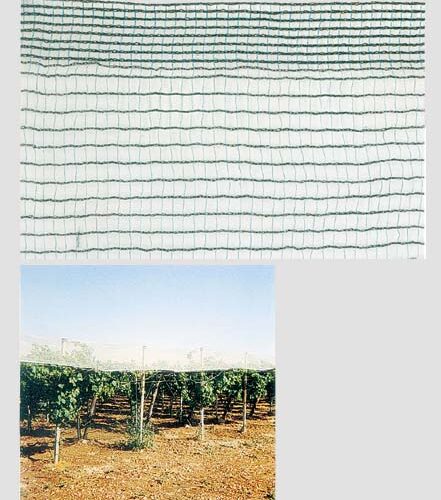 Rete Antigrandine Rot.h.4x100 Mt.