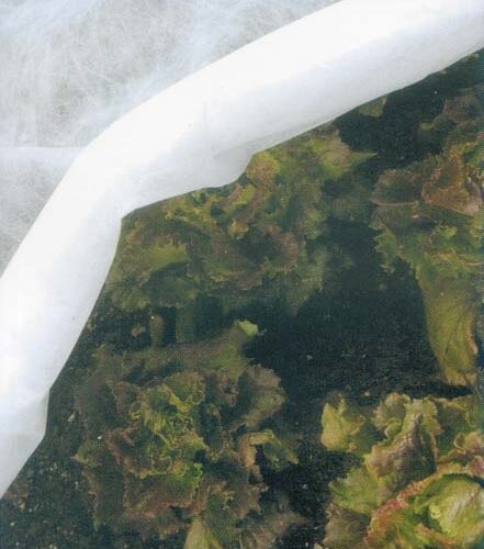 Telo Prot.ortoclim.plus H2,4x5 Mt - immagine 1