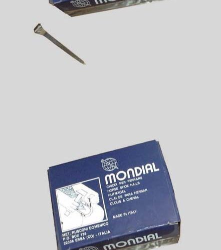 Chiodo Fe.lu.x Cavallo Vf8,5-pz.250