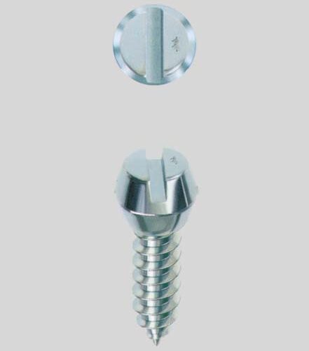 Viti Autof.fermavetro Z. 4,2x 9,5 - immagine 1