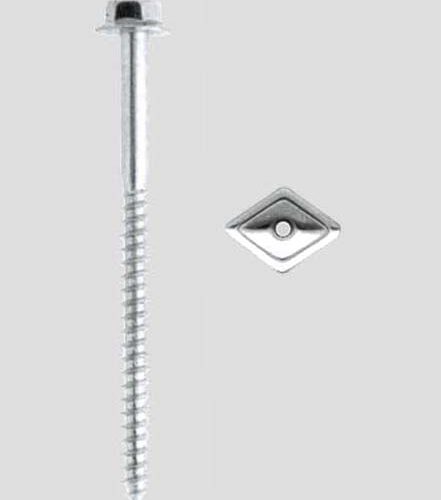 Viti Mord.rond.incor.051 6x 30 Ex2e - immagine 1