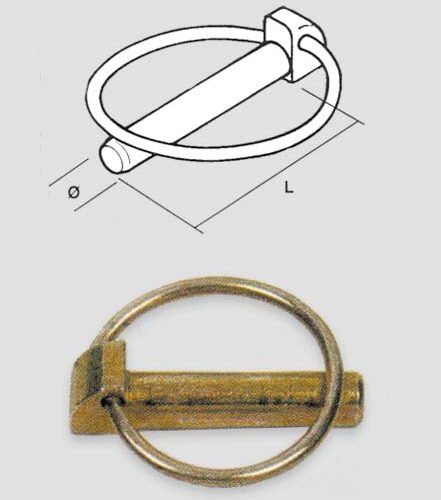 Spina A Scatto Da  8 - immagine 1