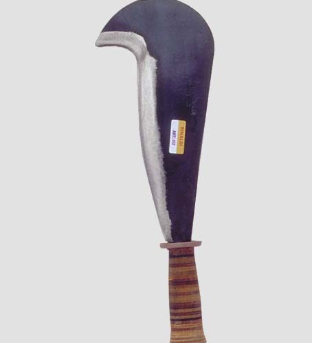 Roncola Maremma Rinaldi M.c.a.117