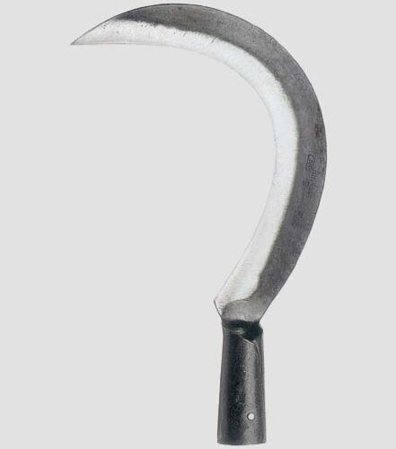 Roncola A Falce Scansano A.113-2/29 - immagine 1