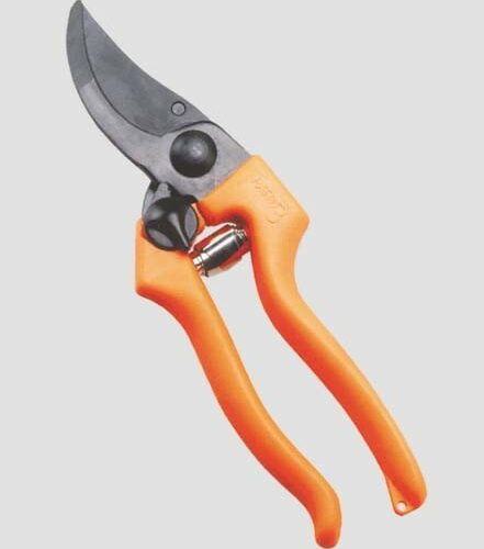 Forbice Vigna "patin 3" -31132/21 - immagine 1