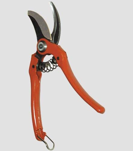 Molla Ric.x Prad.p121-23 R463p Bl.3