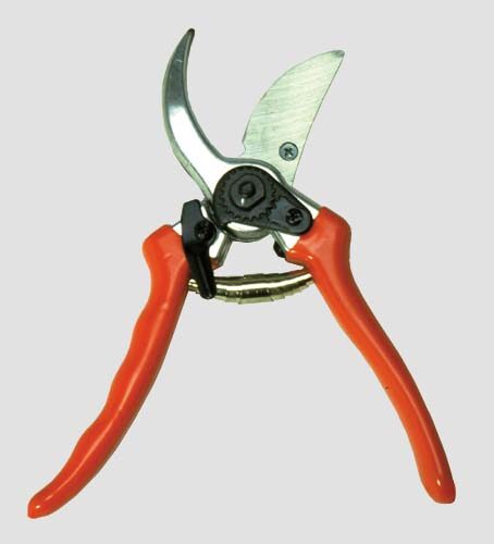 Lame Ric.x Forbici Vigna Hand - immagine 1