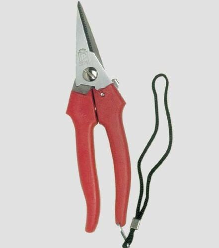 Forbice Cogliuva C/lac.c/gan-366.19 - immagine 1