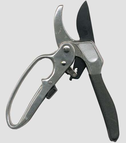 Forbice Vigna All.c/salvaman.a.88