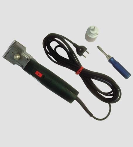 Pettini X Tosacavall.gt 505 Aescul.