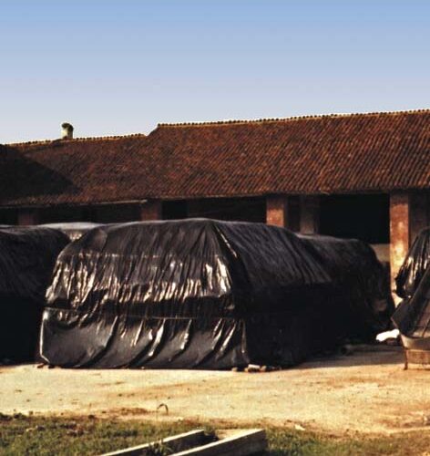 Telone Poliet.nero Mm.0,18 H.mt. 8