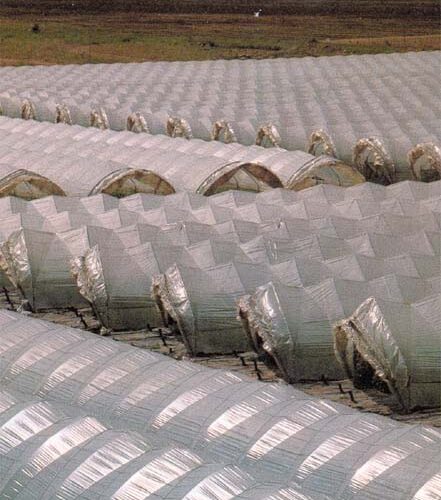 Telone Batim.ferr/edil.neutro Mt. 2 - immagine 1