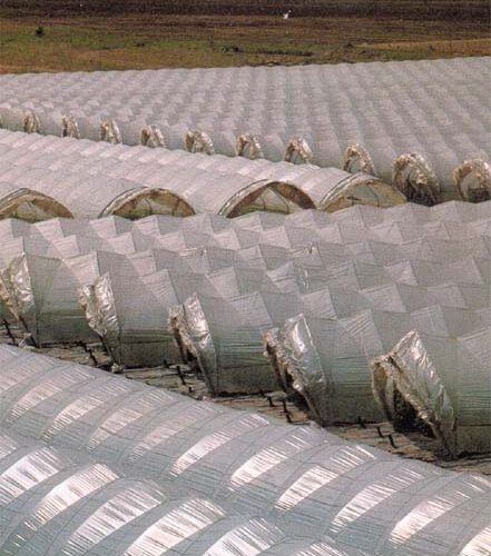 Telone Poliet.long Life 0,20 Mt. 9