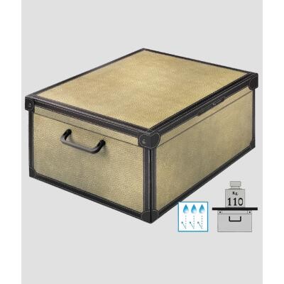 Baulotto Plas.cm40x50 H25 Giras-623