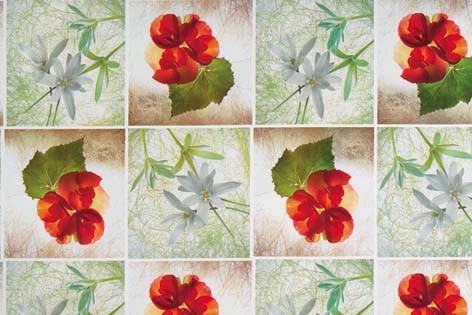 Tovaglia Felp.rett.h.140 D.2885/1