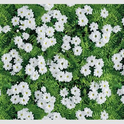 Tovaglia Felp.rett.h.140 D.3856/1