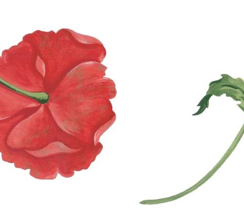 Tovaglia Cri.stam.perg.h140 6927/11 - immagine 1