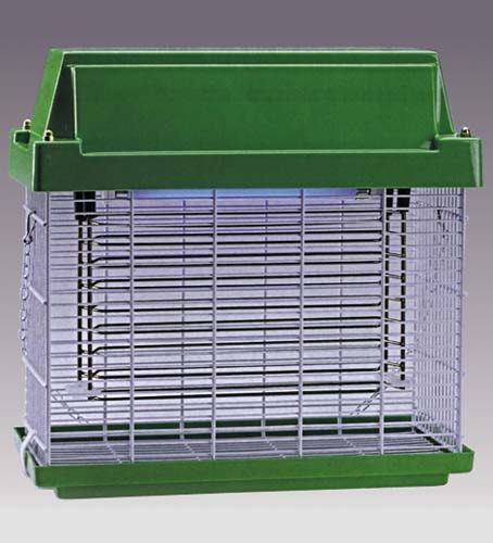 Neon Attinico X Fulminella Zaza 11w