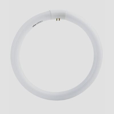 Lampada Wiva Fc T9 Circ.neon 40w Ln