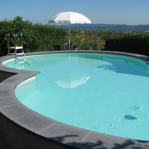 NEW PLAST – Piscina Interrata Elba 855 x 500 x 120 cm con filtro a sabbia ed accessori - immagine 2