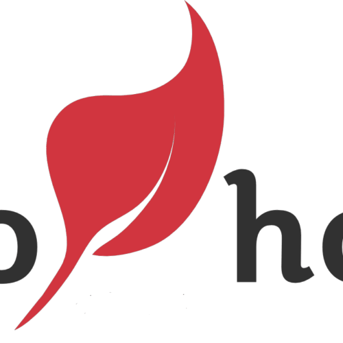 Pellet Bio Holz 100% Abete Austriaco – 66 Sacchi da 15 Kg - immagine 3