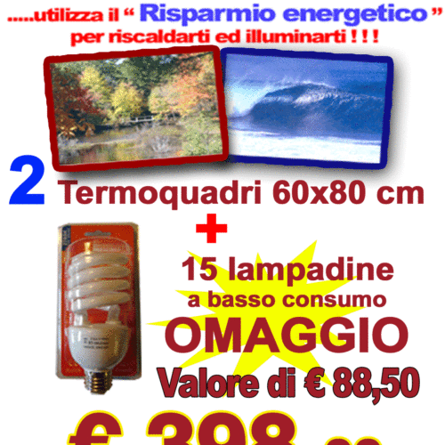 .Offerta Bundle per 2 Termoquadri Leonardo 60x80 cm