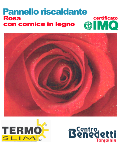 .Leonardo termoquadro 60x80 cm - Rosa con cornice in legno
