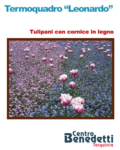 .Leonardo termoquadro 60x80 - Tulipani con cornice in legno